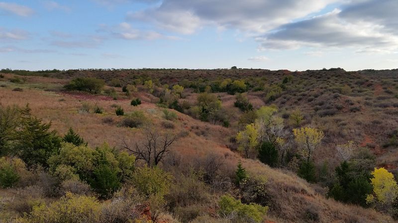 Vast Prairie Landscapes That Stretch to the Horizon