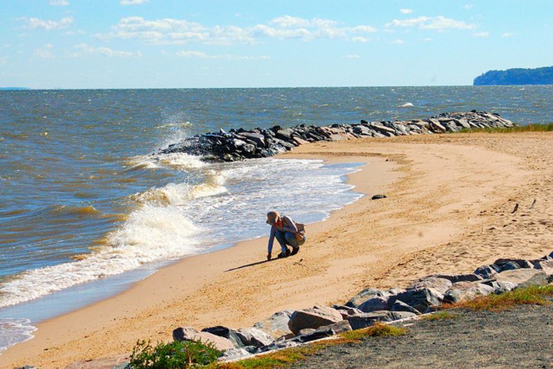 Fossil Beach: Your Personal Prehistoric Treasure Hunt