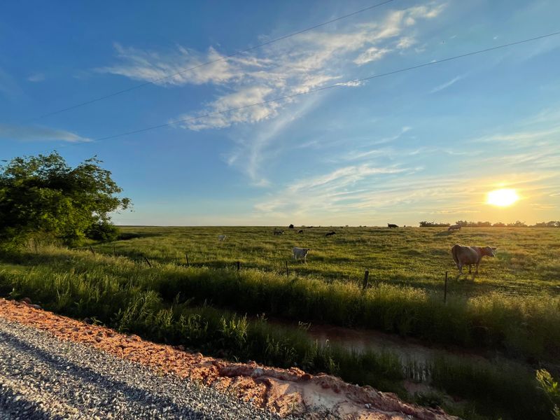 A Memorial Born from Tragedy