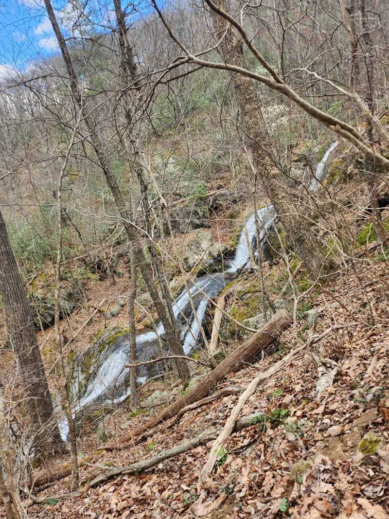 The Parking Lot Nightmare That Greets Every Visitor