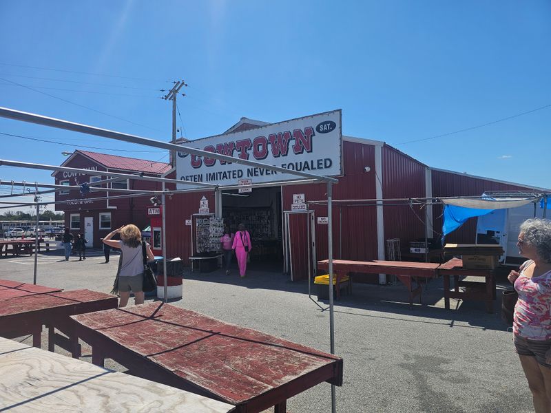 Open Every Saturday and Tuesday for Year-Round Shopping Bliss