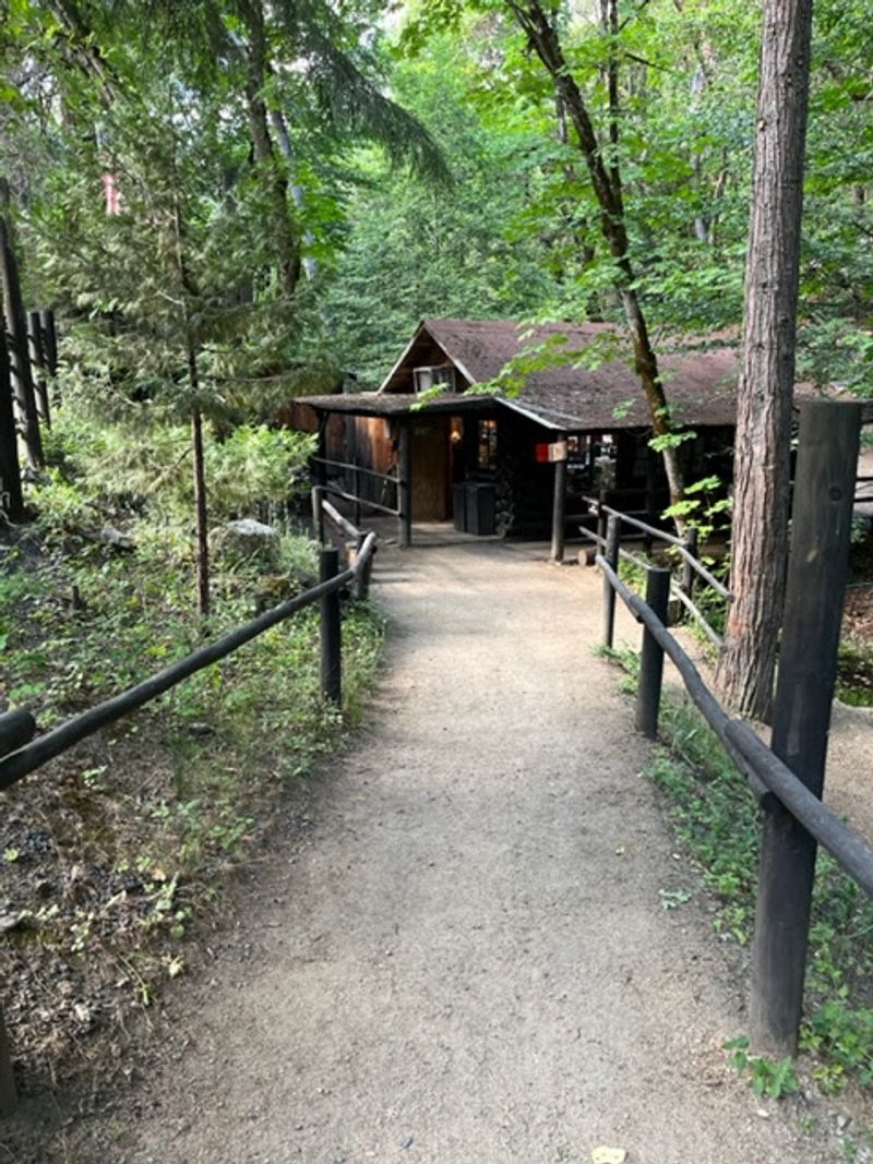 The Oregon Vortex