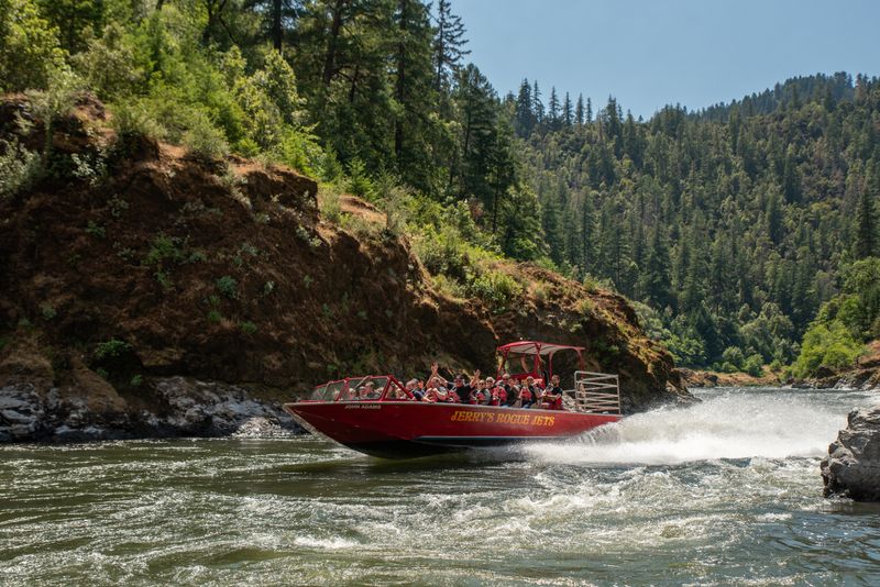 Three Diverse Trip Options