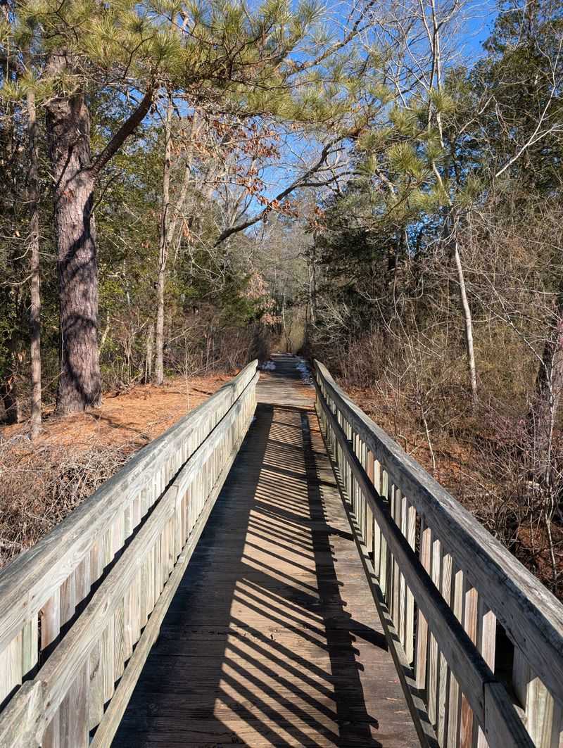 Dog-Friendly Trails Welcome Four-Legged Adventurers