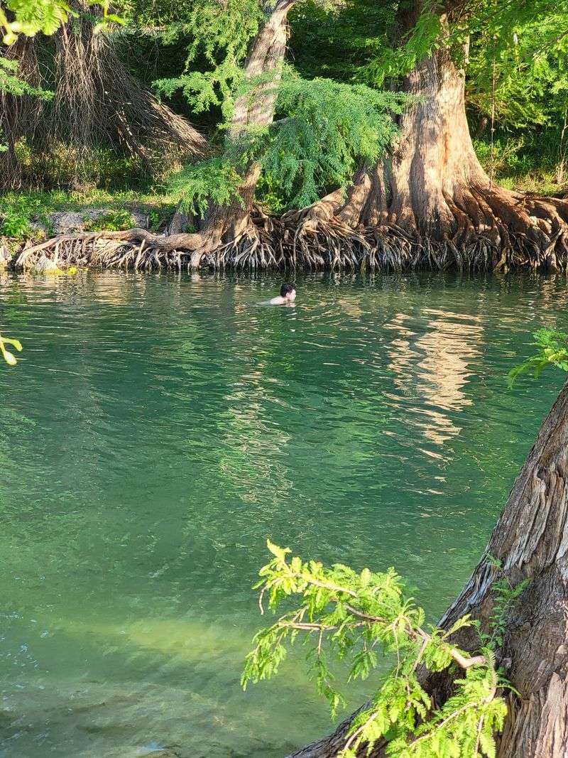 Swimming Holes Surrounded by Shady Cypress Trees