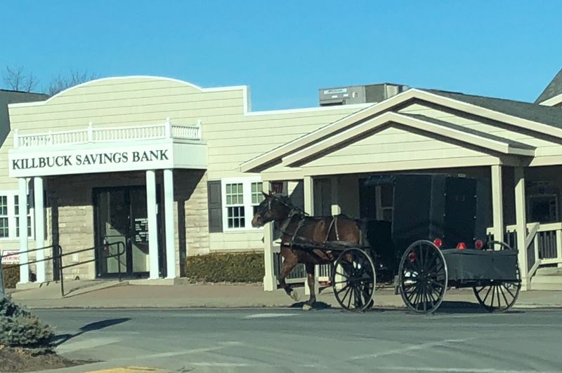 Mistakes Tourists Make On Shared Roads