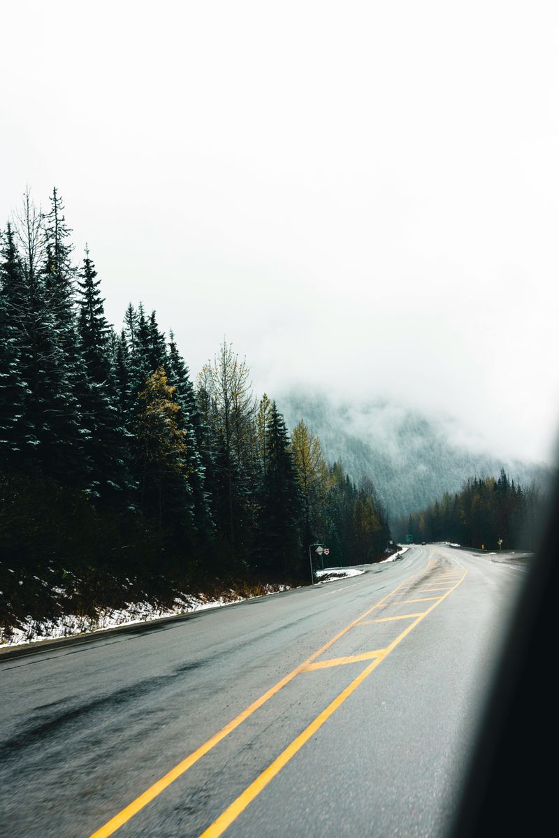 Fire Restrictions Change Faster Than Visitors Expect