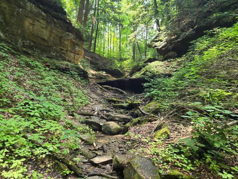Deep Ravines That Feel Like Hidden Movie Locations