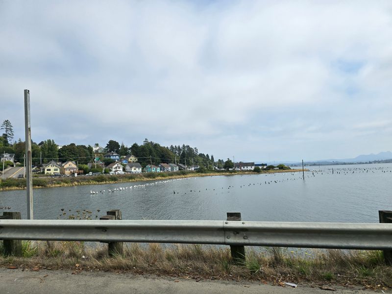 Waterfront Access Points Experience Overcrowding