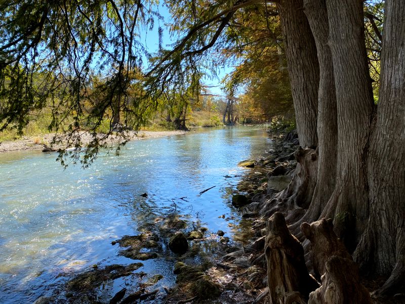 Trash and Environmental Impact