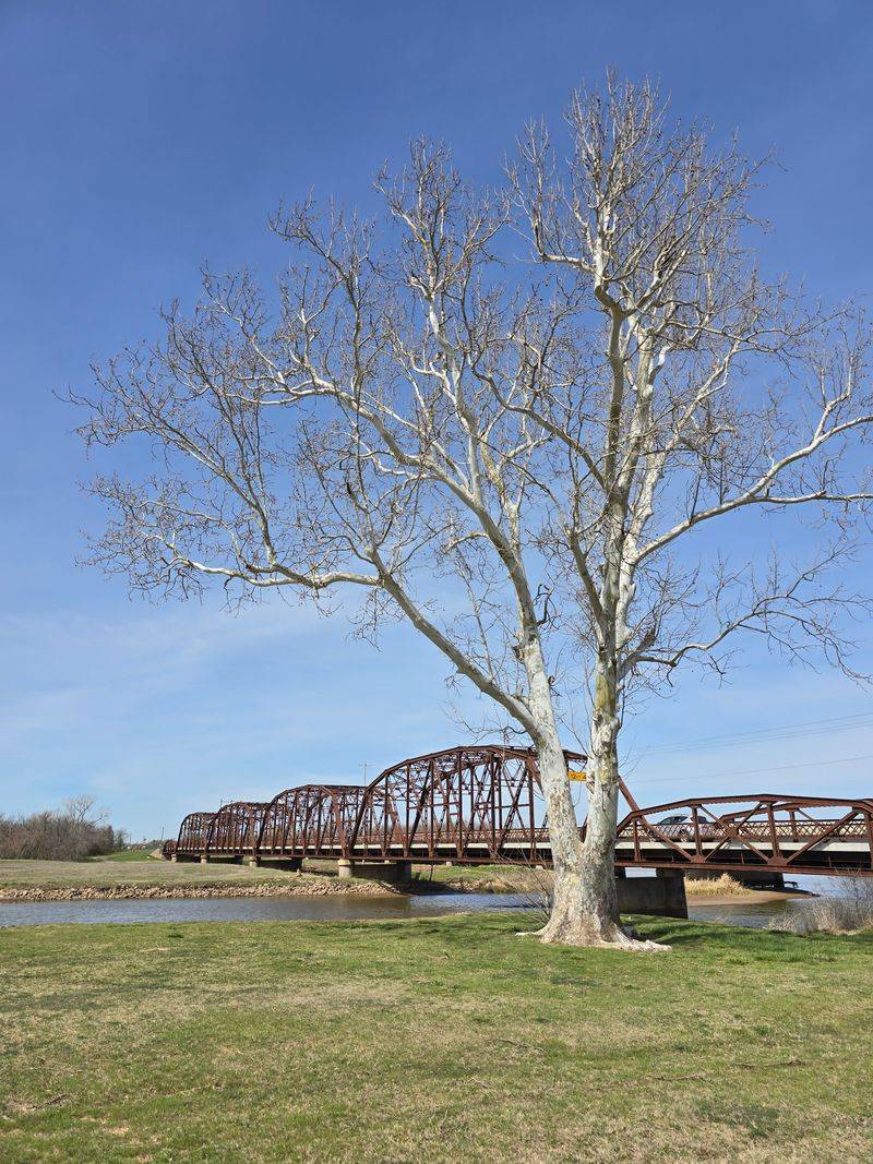 Restoration That Couldn't Erase the Past