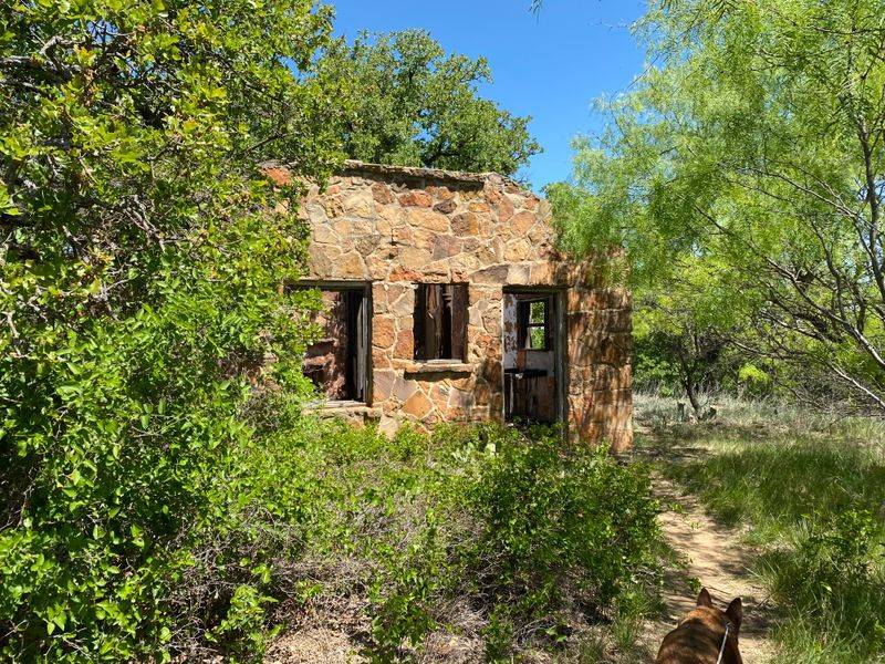 Pet-Friendly Adventures with Cautions