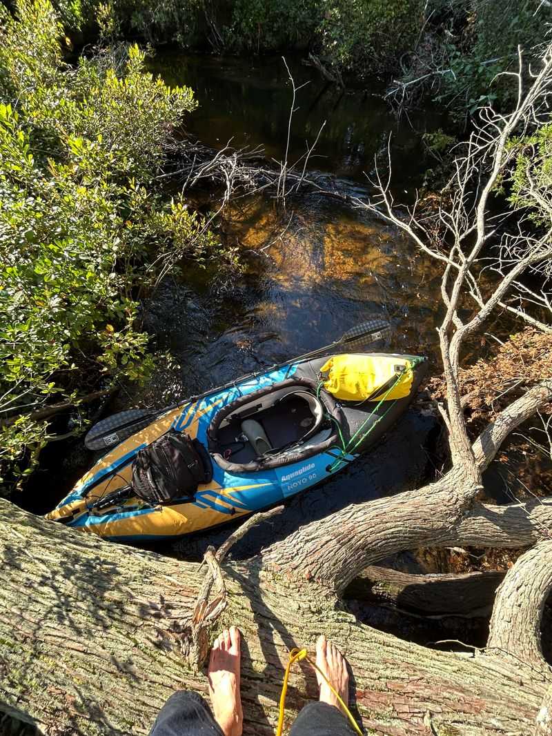 Cedar Creek's Tea-Colored Waters and Paddling Paradise