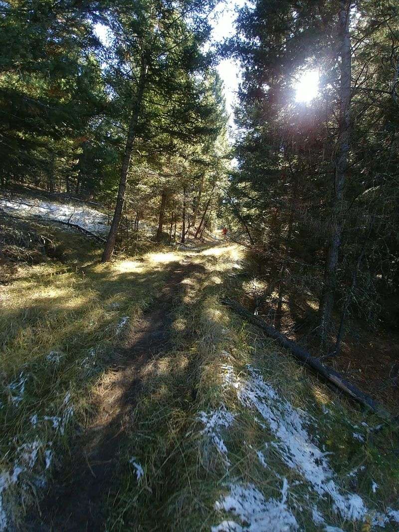 A Landscape That Changes With The Light