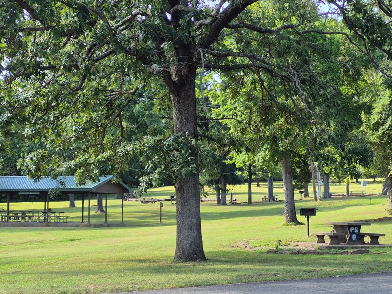 Campgrounds Where Space Still Exists