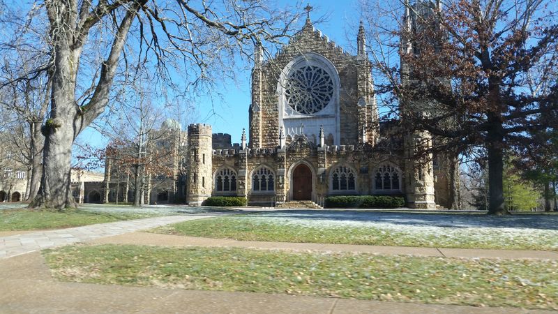 Why Locals Avoid Promoting It