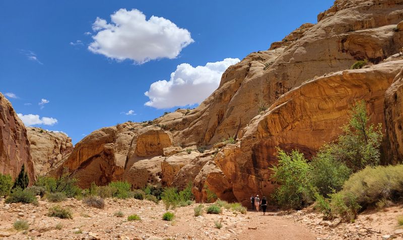 People Leave Feeling Changed, Not Just Tired