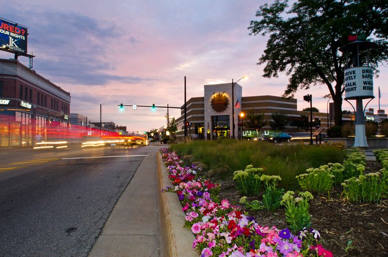 Ferndale DIY Street Fair – Ferndale