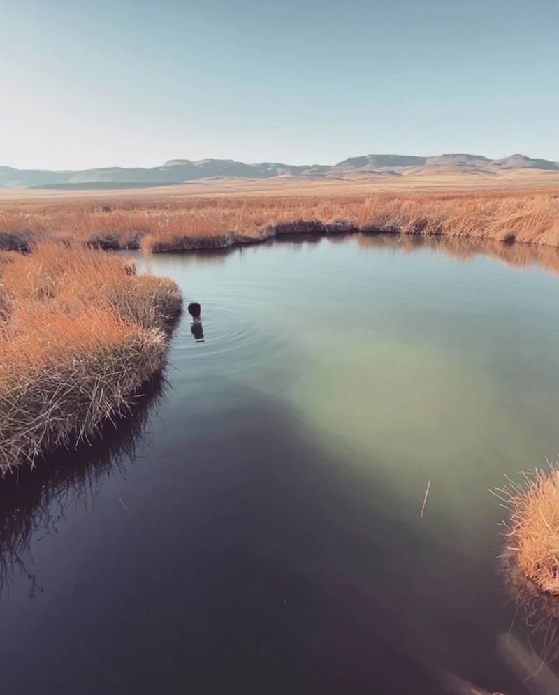 Soldier Meadows Hot Springs