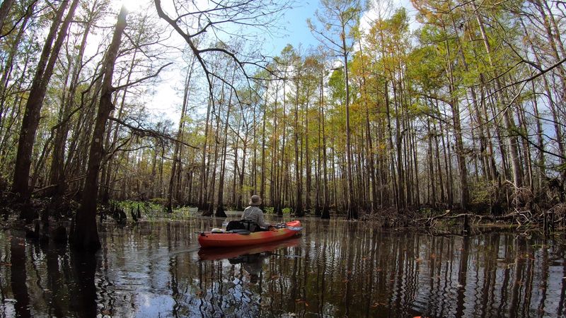 Why The Stop Feels Empty But Not Quiet