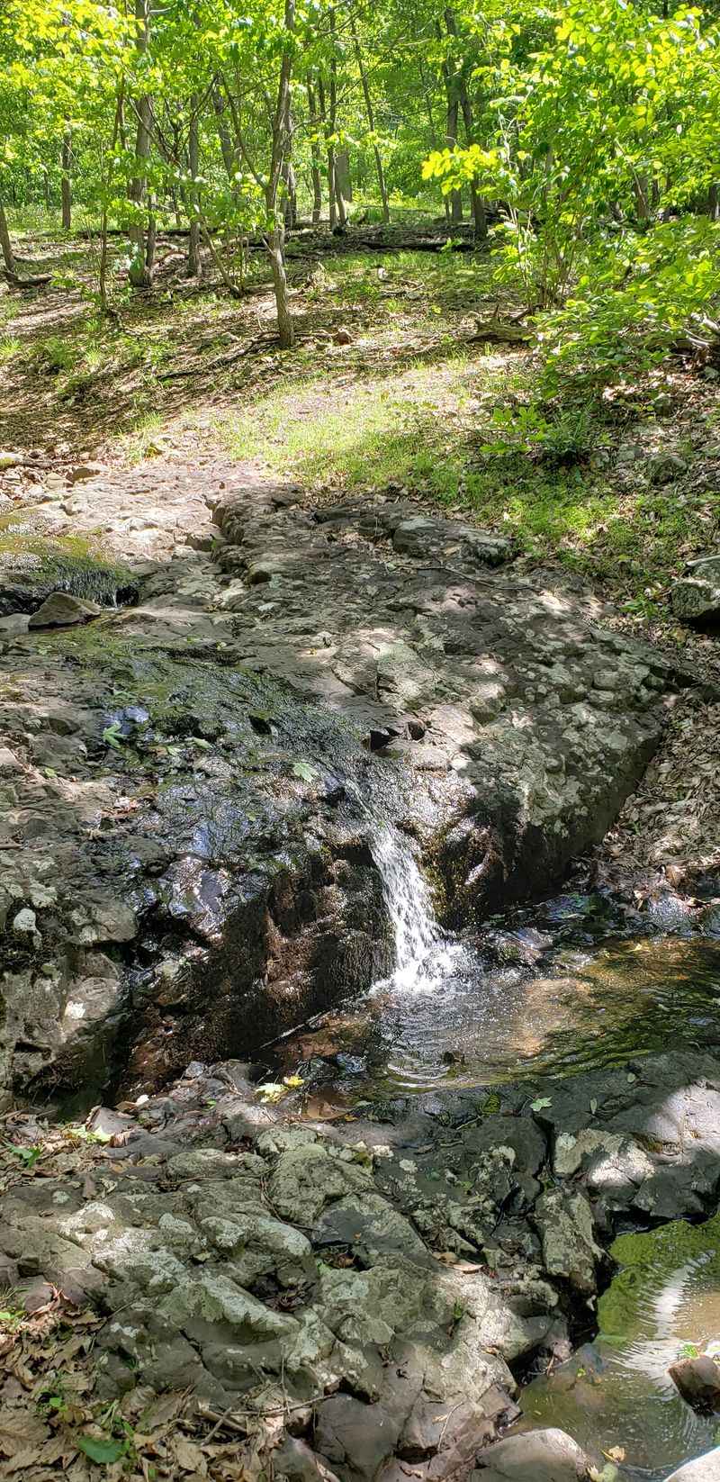 South Falls & Maple Ridge Loop