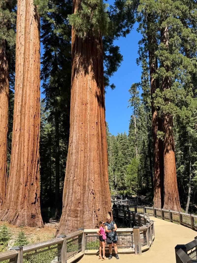 Wawona Big Trees And Historic Hotel Pause