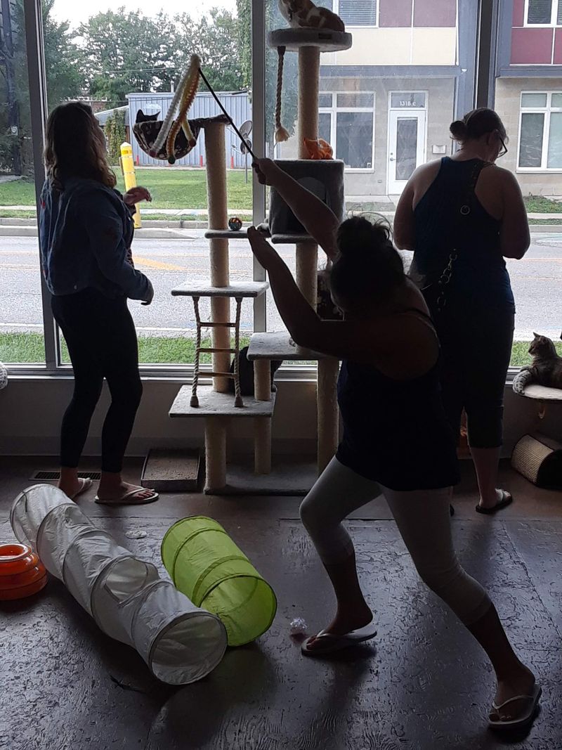 Knowledgeable Staff Who Genuinely Care