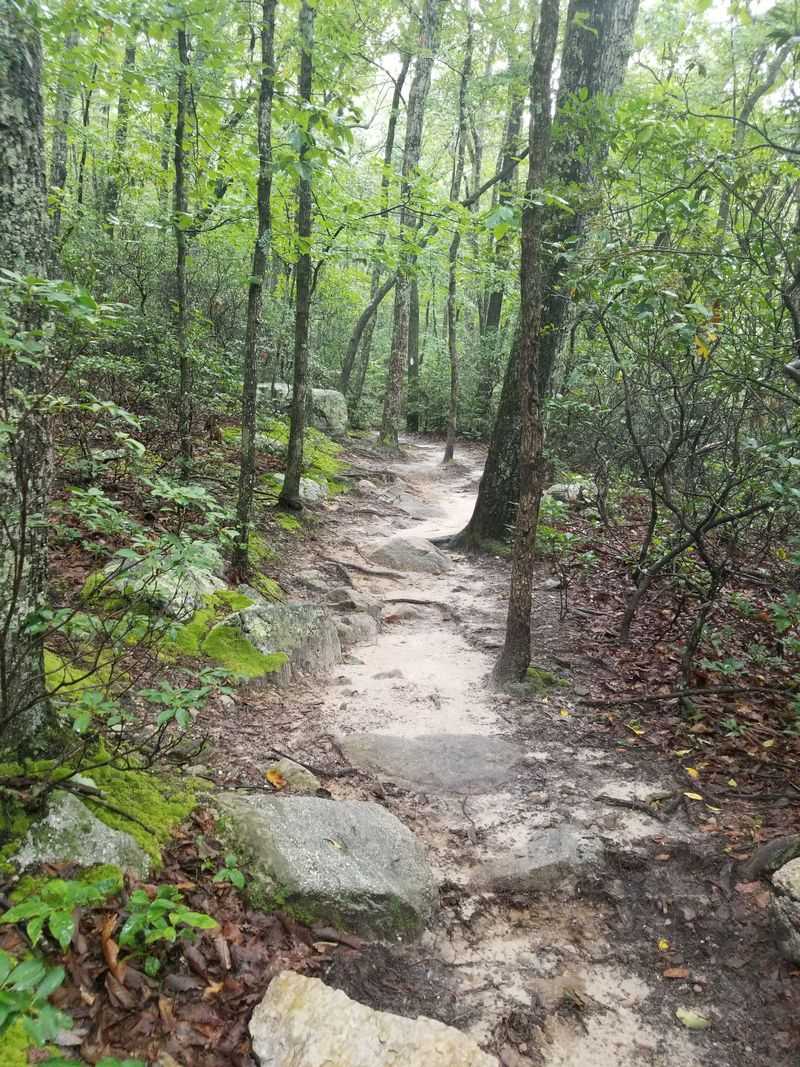 The Eight Mile Journey That Rewards Persistence