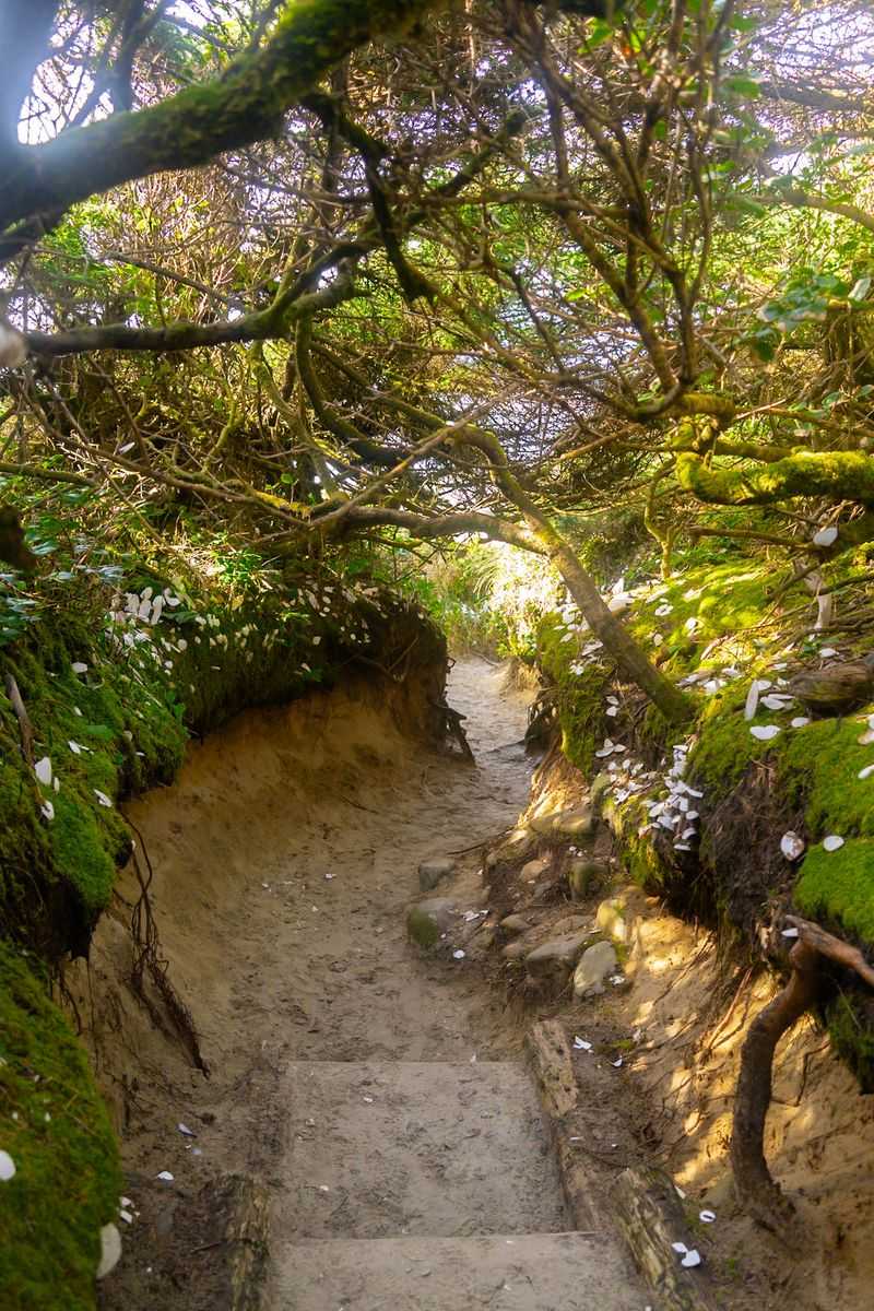 Hobbit Beach