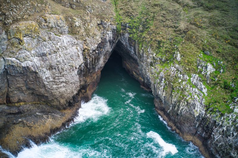 Sea Lion Caves