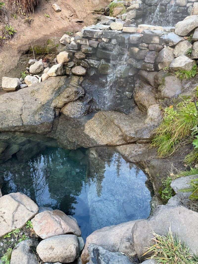 Cougar (Terwilliger) Hot Springs