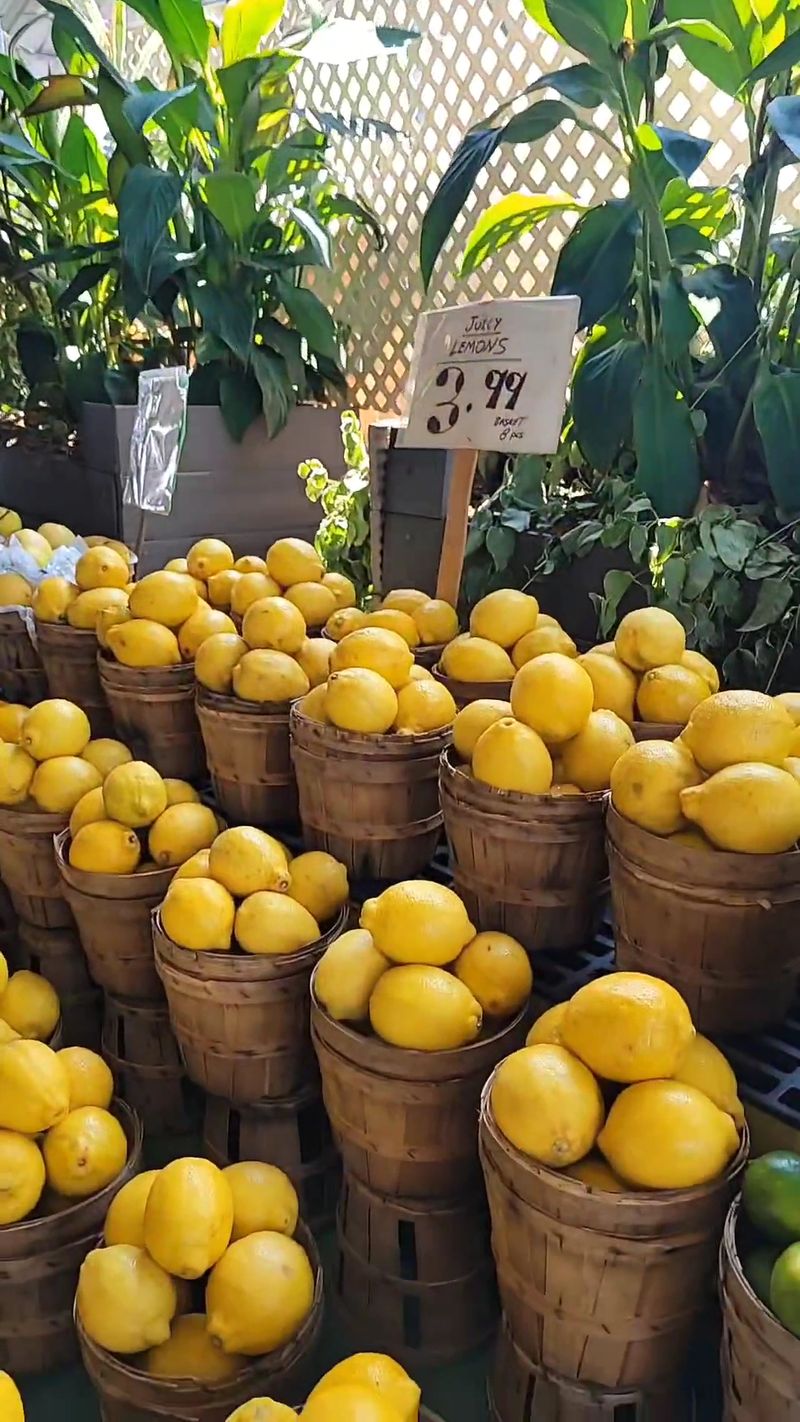 Farm-Fresh Produce That Tastes Like Summer