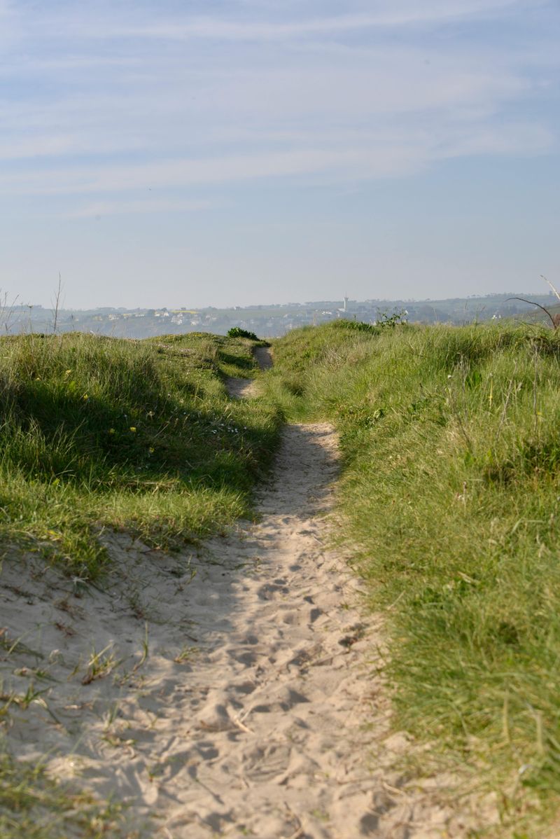 Respect Quiet Moments In Nature