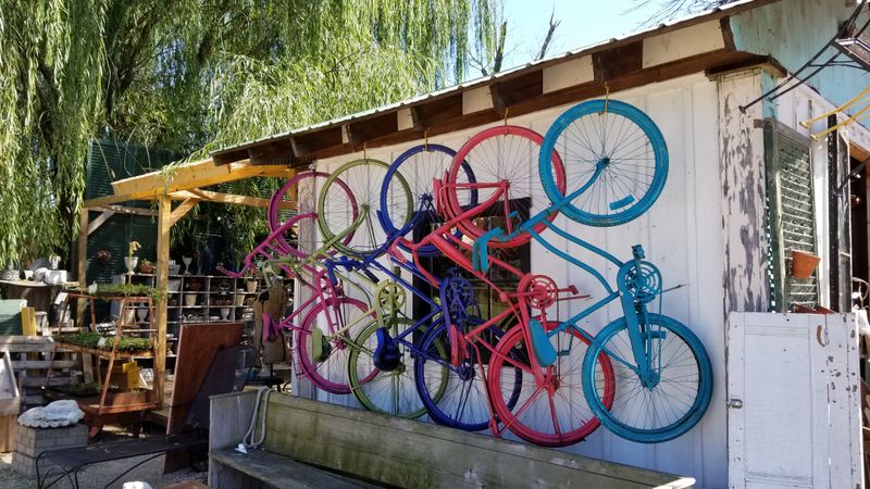 A Photographer's Dream With Endless Photo Ops