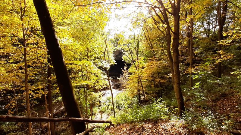 Disc Golf Course Adds Extra Recreation Value