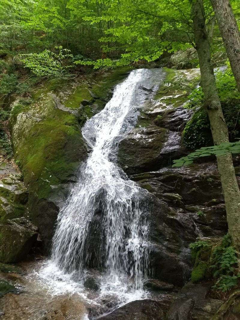 Shenandoah National Park Gateway Adventures