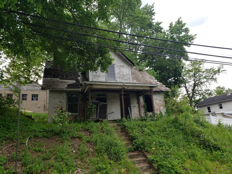 Daily Routines Built Around Animal Power