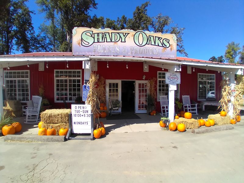 Shady Maple Style Hearty Oregon Venues