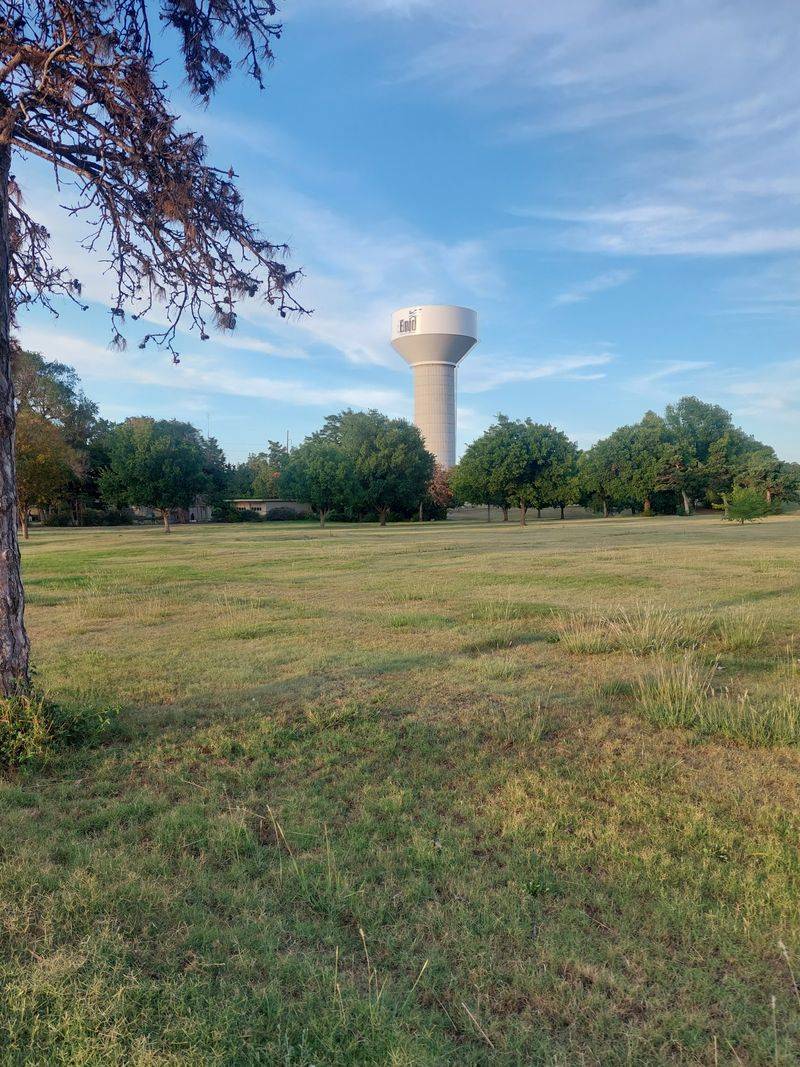 Wheat Harvest Defines Summer Rhythm