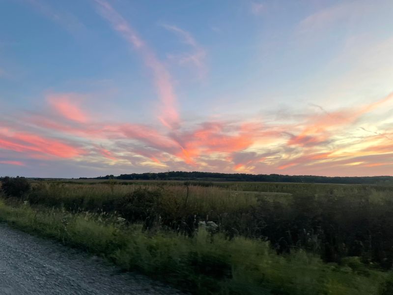 Drive-Through Wildlife Viewing Accommodates Comfortable Observation