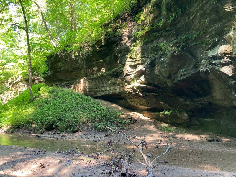 Creek Beds Stay Wet and Slippery Year-Round