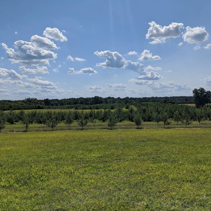 Finding Perfect Picnic Spots on Historic Grounds