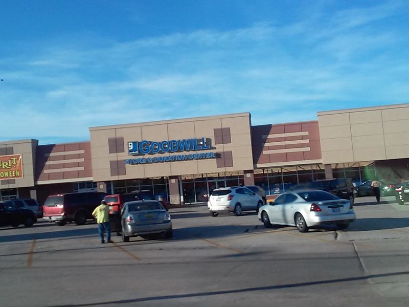 Unwritten Rules Govern Survival In The Bin Jungle