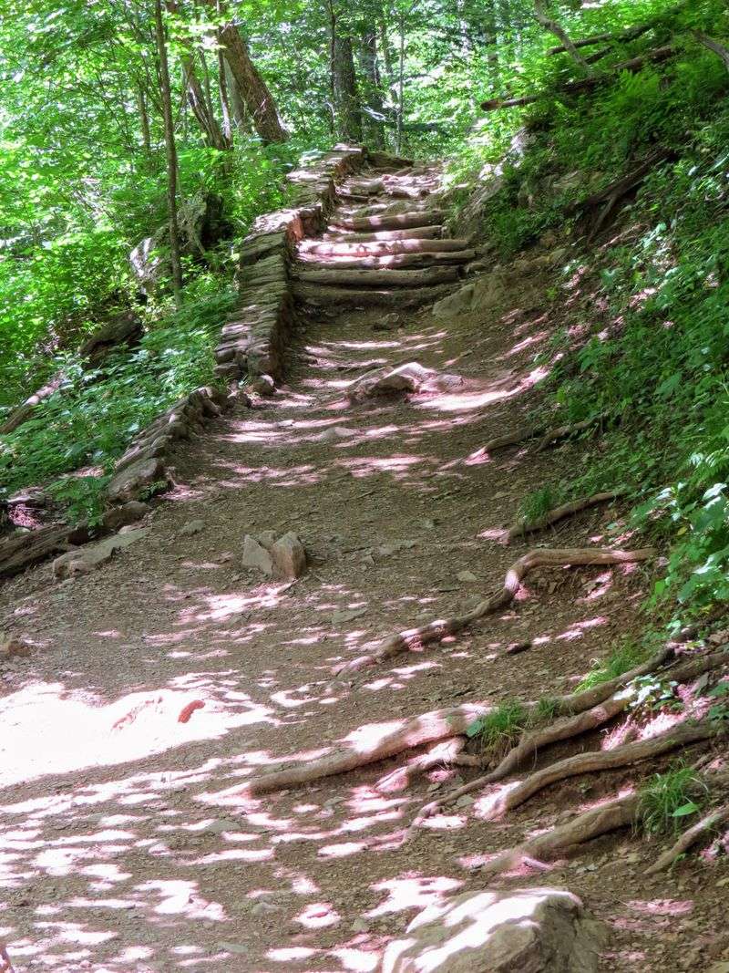 The Trail That Takes You Down, Down, Down