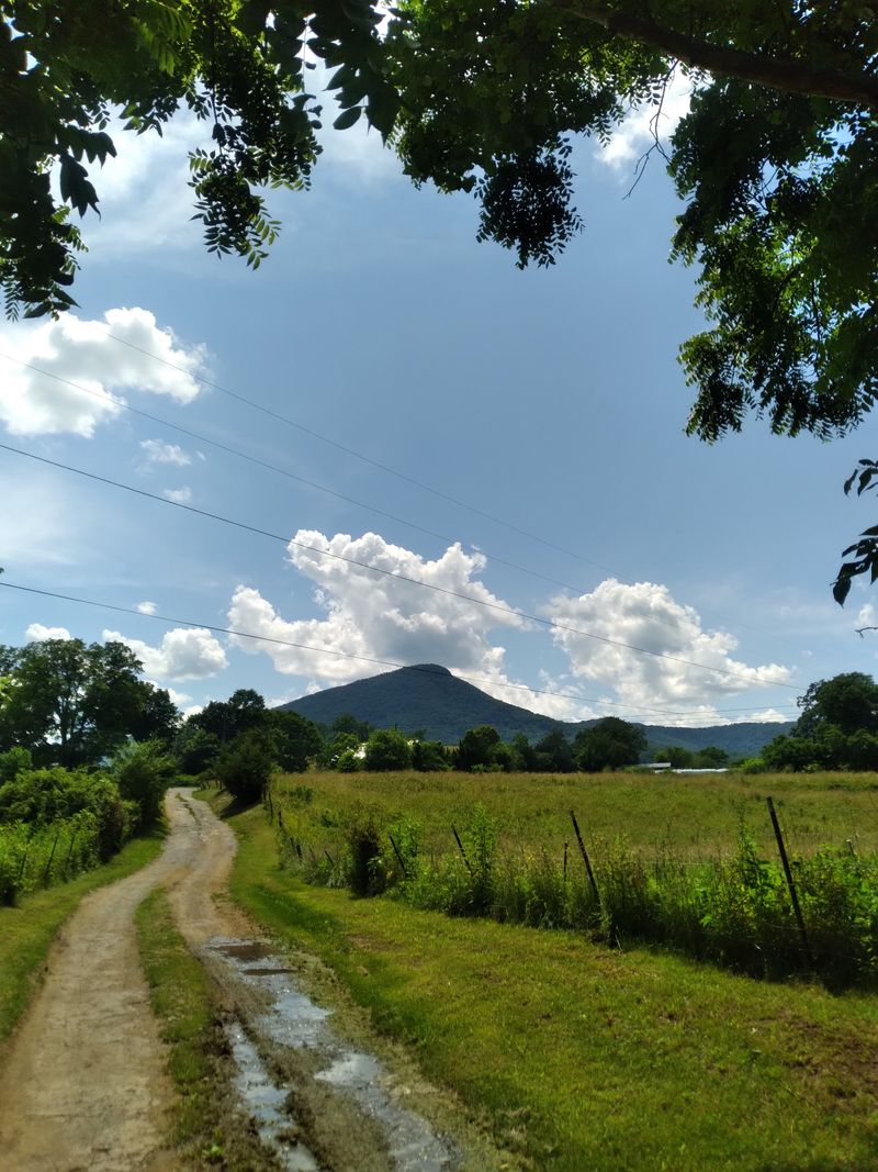 Gossan Lead Mine, Rockbridge County