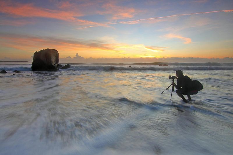 Capture Stunning Photographs of Coastal Landscapes and Wildlife