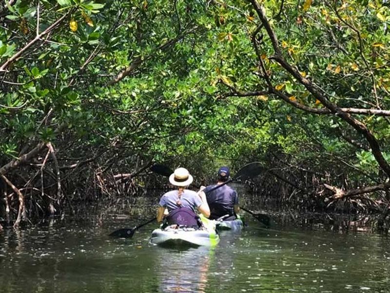 Discover Kayak Oleta River State Park