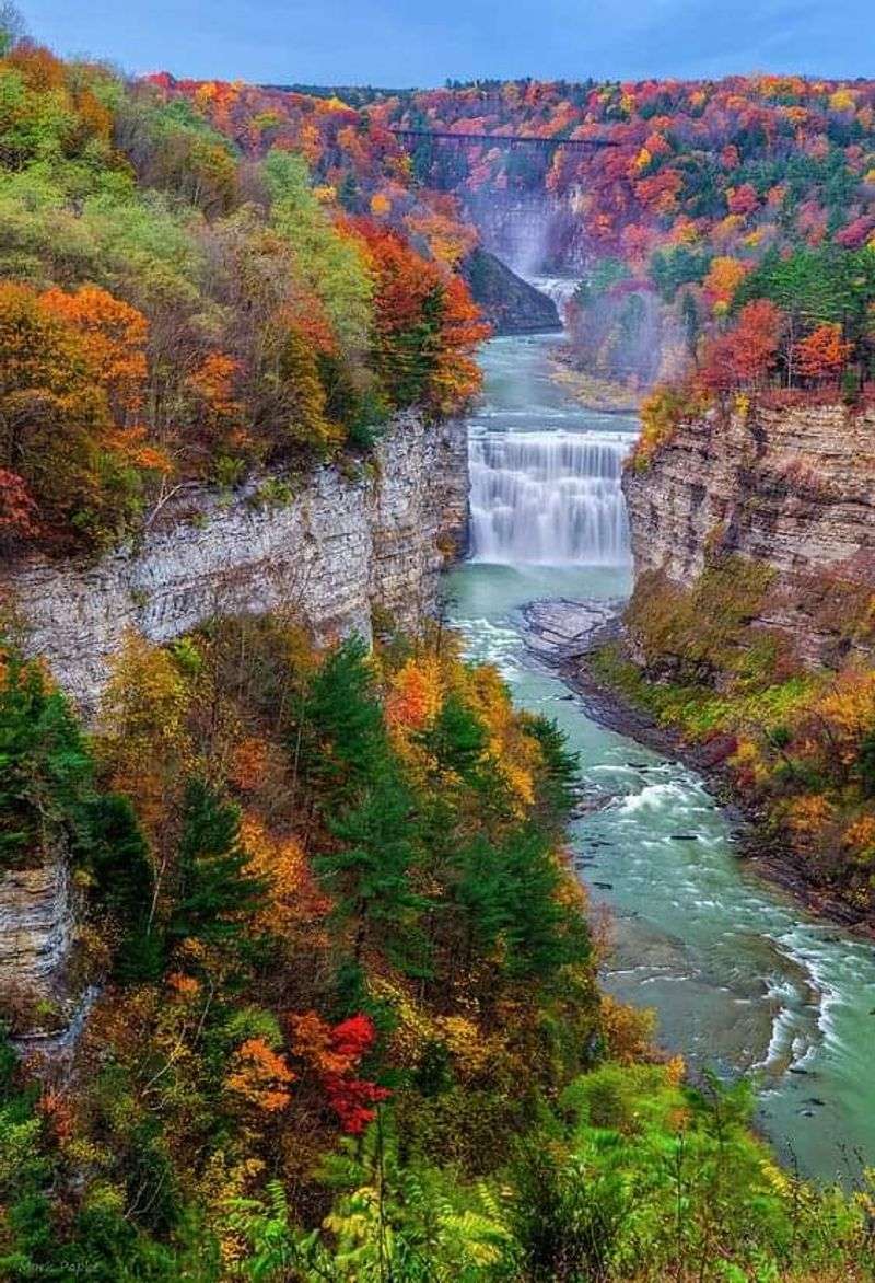 Experience the Beauty of Letchworth State Park