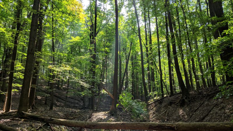 Hike the Metroparks Reservation System