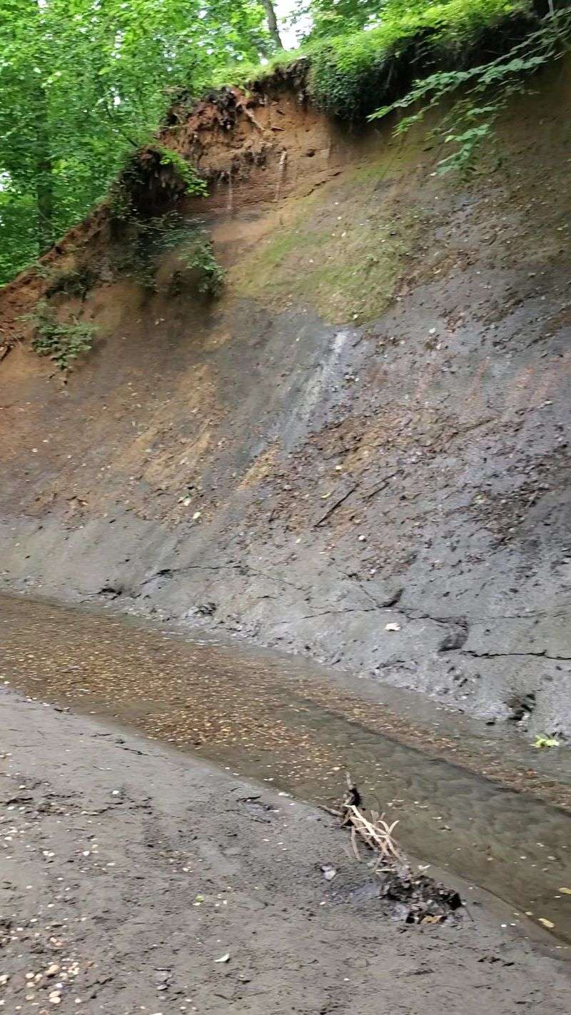 Horsehead Cliffs: Nature's Dramatic Backdrop